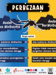 Perbezaan Antara Aedes Tanpa Wolbachia dan Aedes Berwolbachia